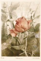 G.H. Rothe 'Electron' S/N Flor