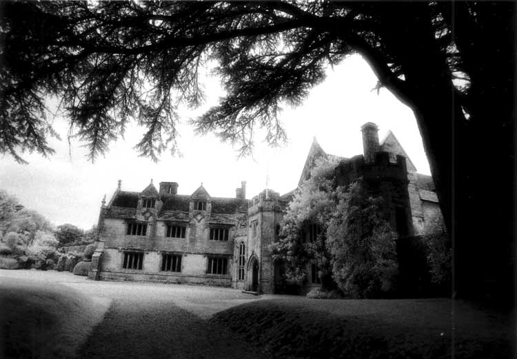 GHOST NIGHT AT ATHELHAMPTON Ghost