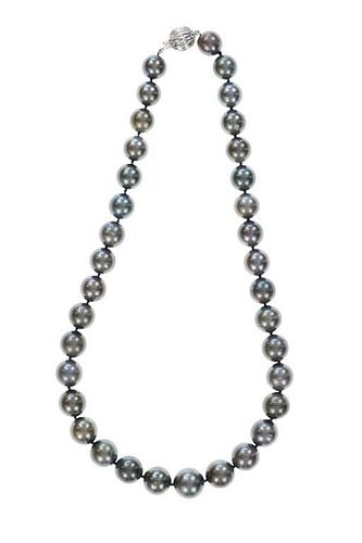 GIA SCARCE BLACK TAHITIAN PEARL &