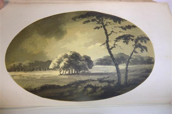 GILPIN (W) REMARKS ON FOREST