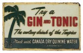 GIN & TONIC CANADA DRY SYROCO