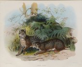 GIRAUD, Daniel, (French, 1835