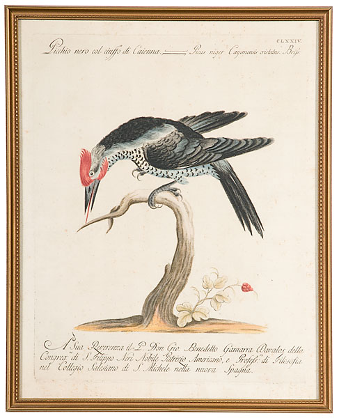 Giuseppe Vanni (Italian 18th
