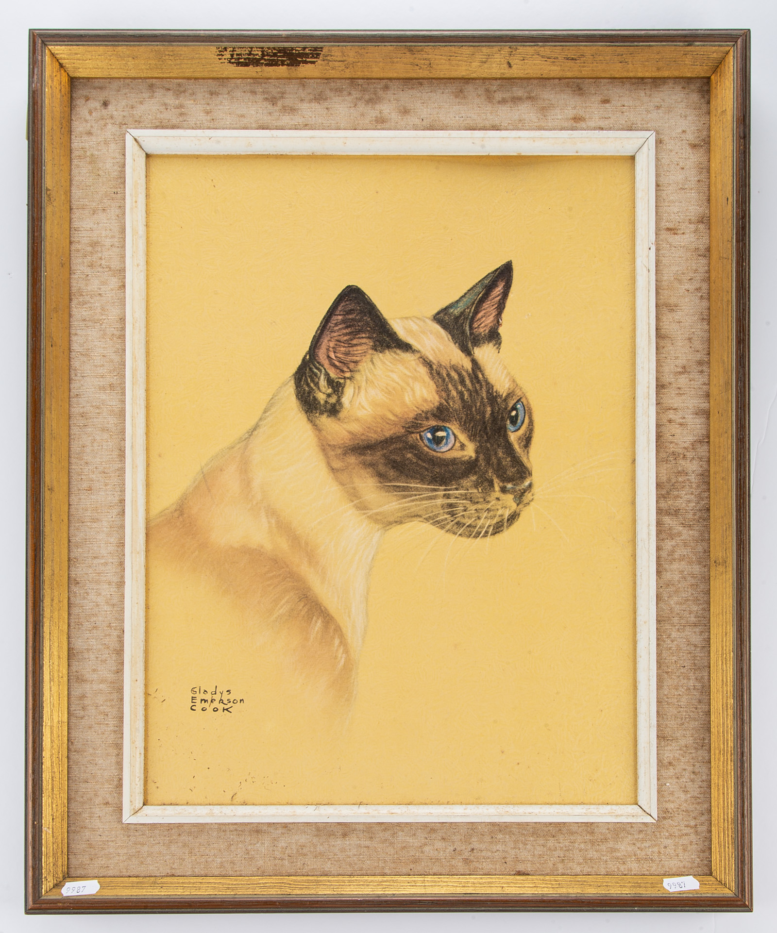 GLADYS EMERSON COOK. SIAMESE CAT,