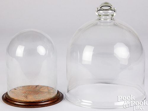 GLASS CLOCHE AND DOMEGlass cloche