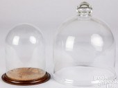 GLASS CLOCHE AND DOMEGlass clo
