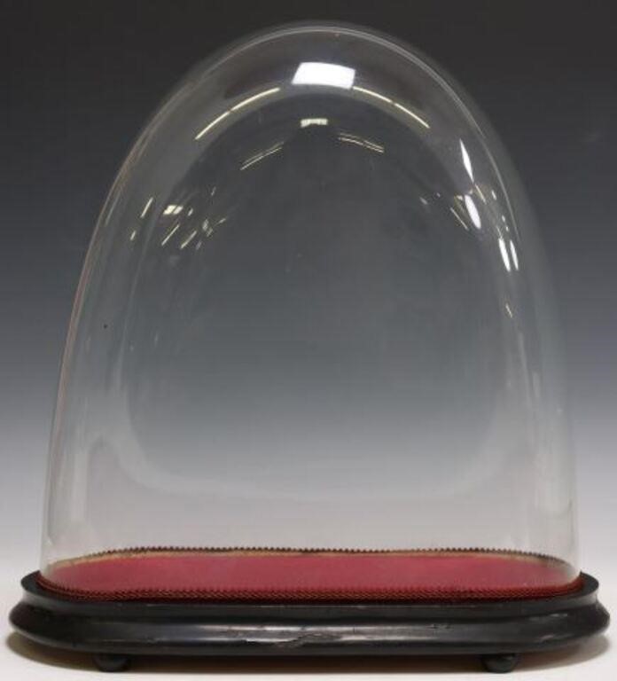 GLASS CLOCHE DOME ON EBONIZED