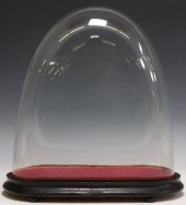 GLASS CLOCHE DOME ON EBONIZED