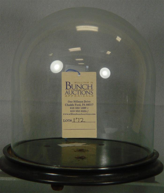 Glass dome on wood base, 8 1/2"