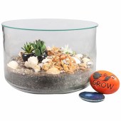Glass Terrarium, lidded top, 1
