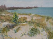 GLENN TILLEY MORSE, SARASOTA D