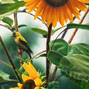 Gloria Malcolm Arnold (American