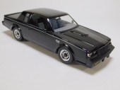 GMP 1:18 FACT OR FICTION 1987