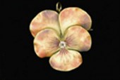 Gold and iridescent enamel pan