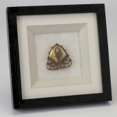 GOLD MAMULI, SUMBA, INDONESIAA