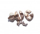 GOLD TOOTH SCRAPS Two pieces o