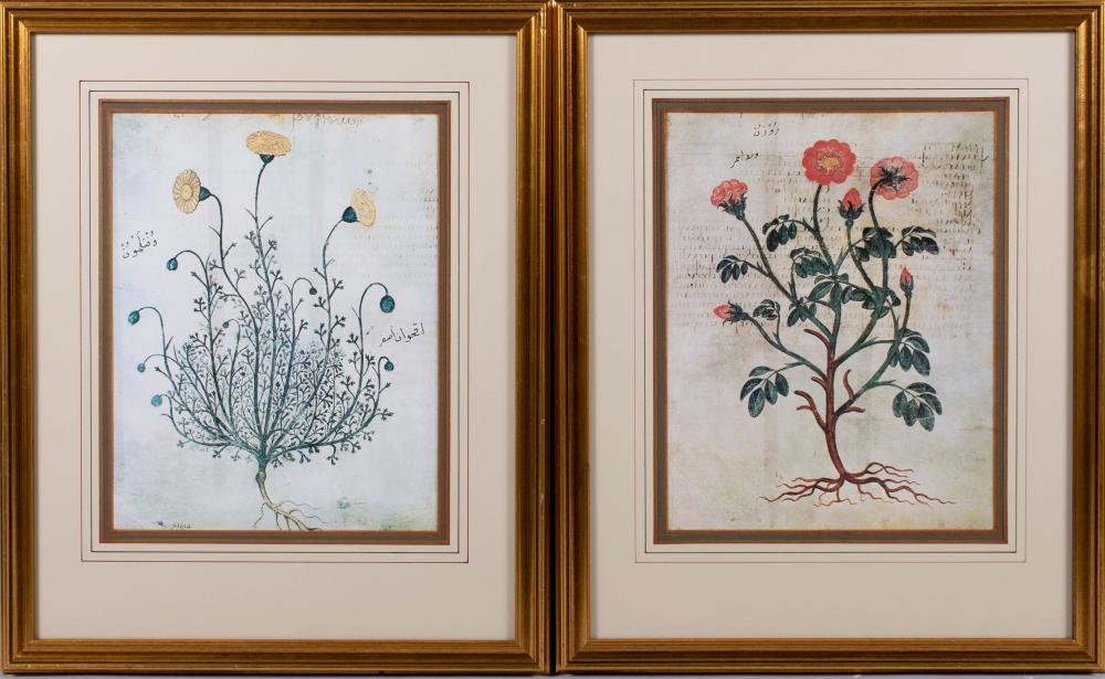 , GOLDEN CHRYSANTHEMUM AND RED