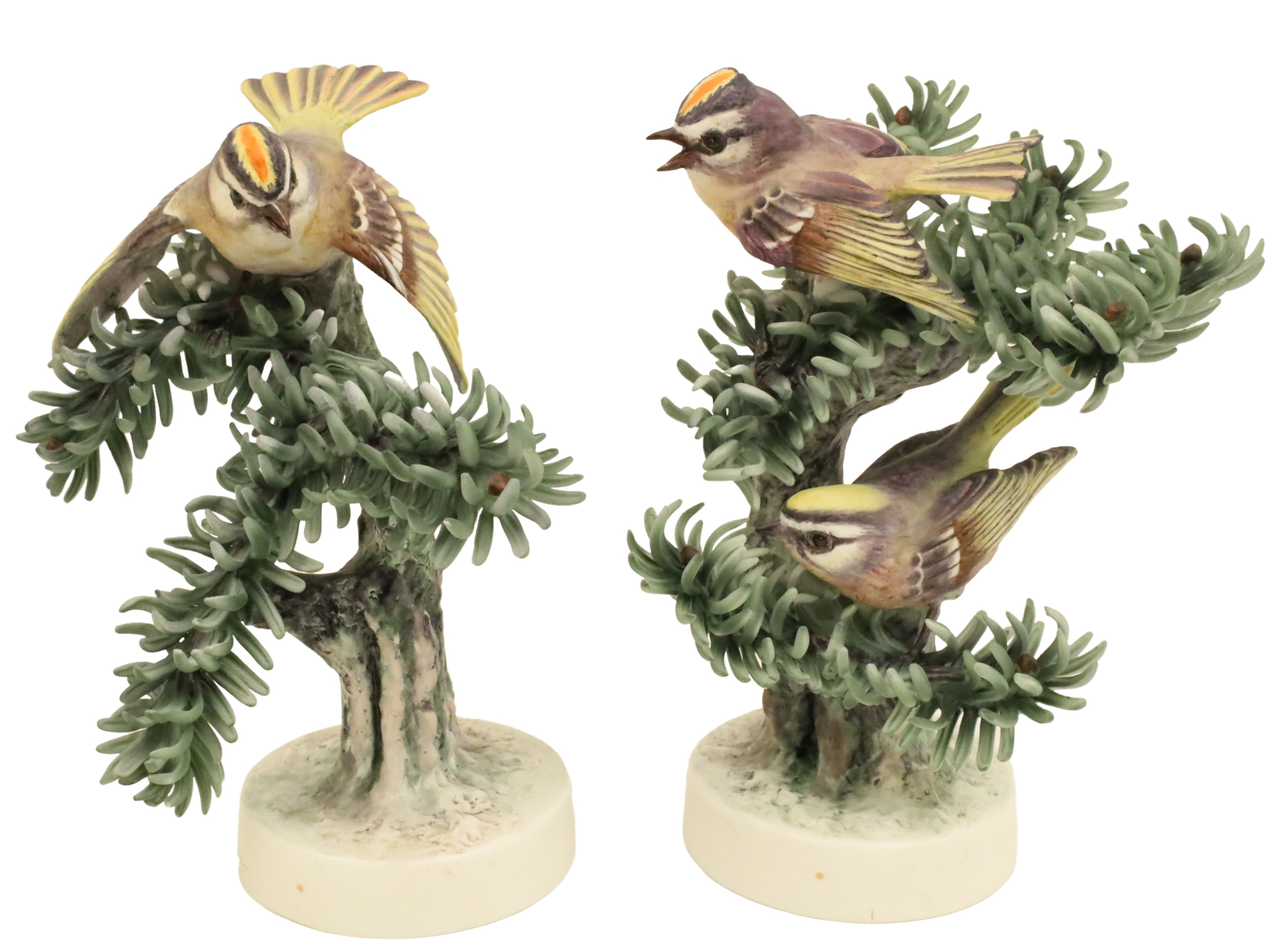 GOLDEN CROWN KINGLET BY DOROTHY