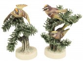 GOLDEN CROWN KINGLET BY DOROTH