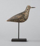 GOLDEN PLOVER SHOREBIRDA Golde
