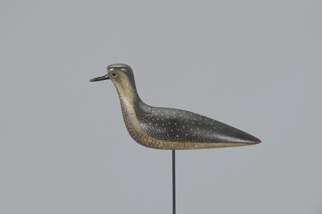 GOLDEN PLOVER WITH HIGH
