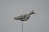 GOLDEN PLOVER WITH RAISED WING