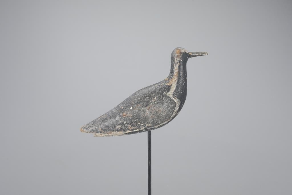 GOLDEN PLOVERMassachusetts, c. 1880
