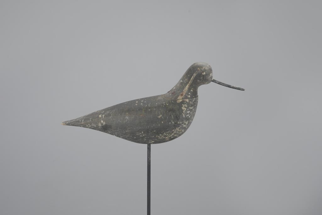 GOLDEN PLOVERNantucket, MA, c. 1890