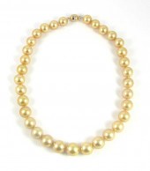 GOLDEN SOUTH SEA PEARL AND FOU