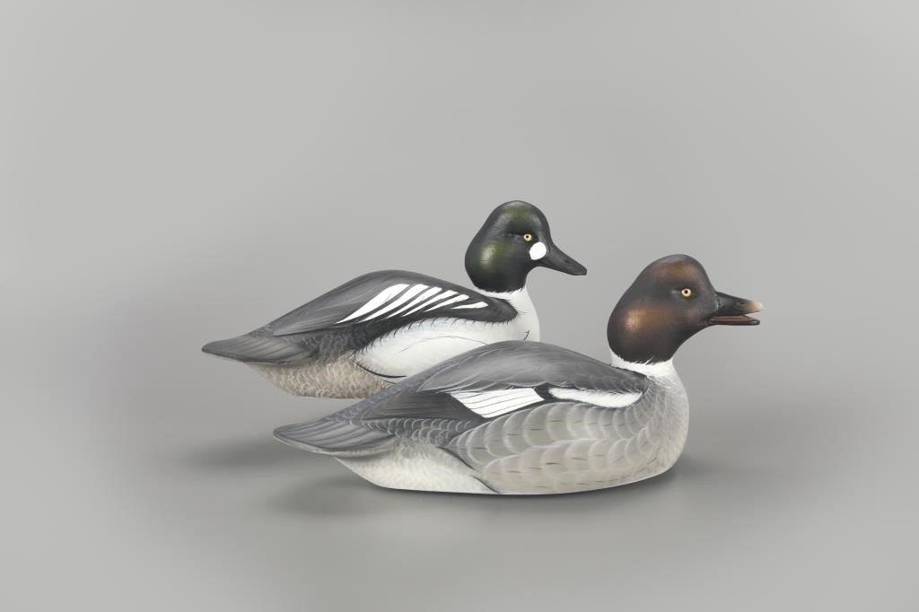 GOLDENEYE PAIRSean Sutton (b. 1967)