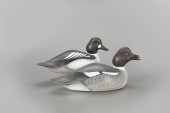 GOLDENEYE PAIRSean Sutton (b.