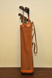 GOLF CLUBS IN A BAG. Nine club