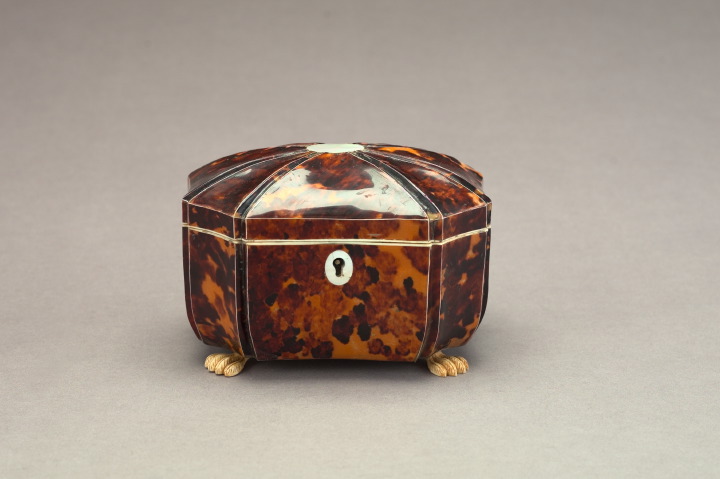 Good English Tortoiseshell