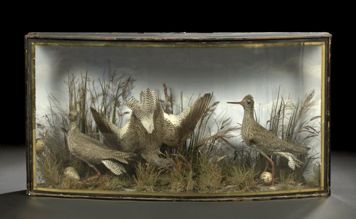 Good J. Cooper, St. Luke's, Diorama