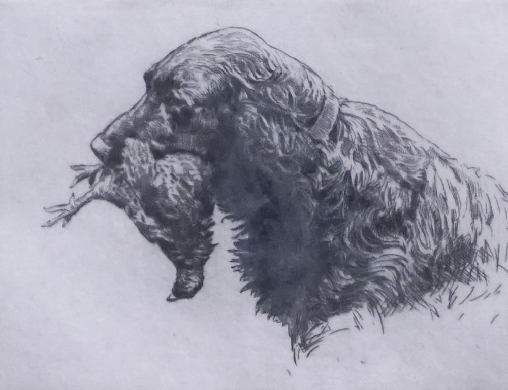 GORDON ALLEN, RETRIEVER AND GROUSE,