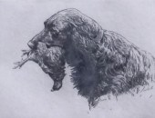 GORDON ALLEN, RETRIEVER AND GR