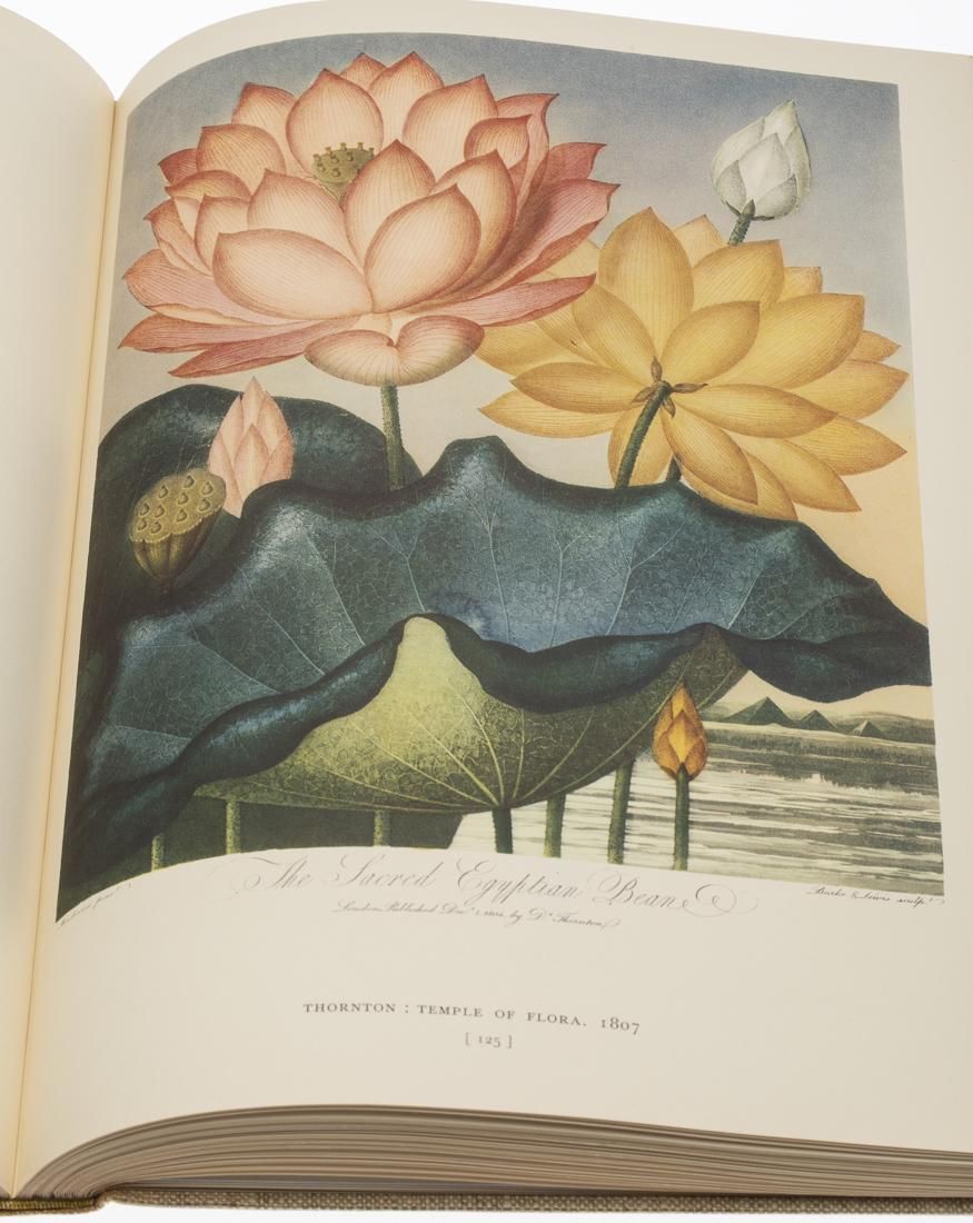GORDON DUNTHORNE, FLOWER & FRUIT