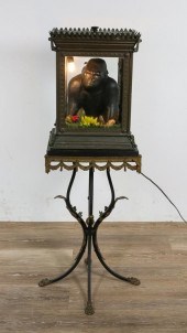 GORILLA DIORAMA ON NEO CLASSIC