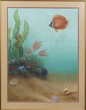 GOUACHE, CORAL REEF LIFE Ameri
