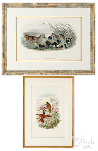 GOULD &AMP; RICHTER LITHOGRAPH OF