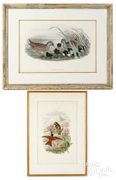 GOULD &AMP; RICHTER LITHOGRAPH
