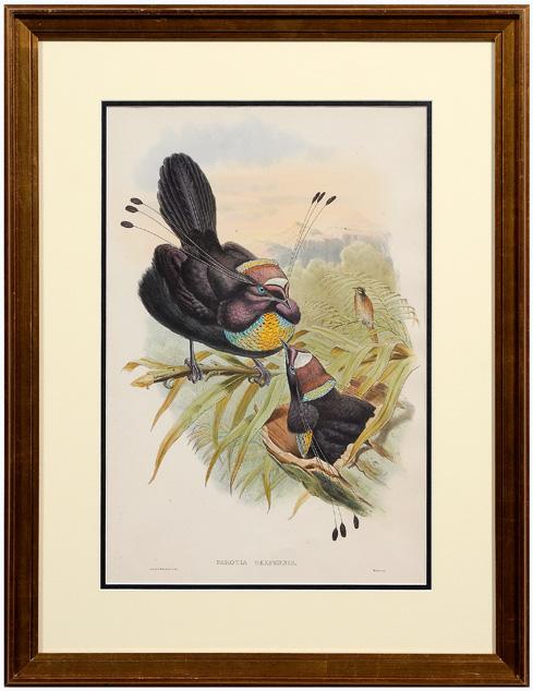 Gould and Hart lithograph,