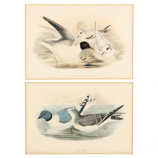 GOULD AND RICHTER (BRITISH, 19TH