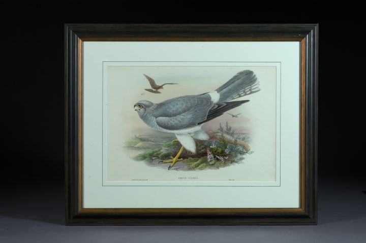 Gould and Richter (British, 19th