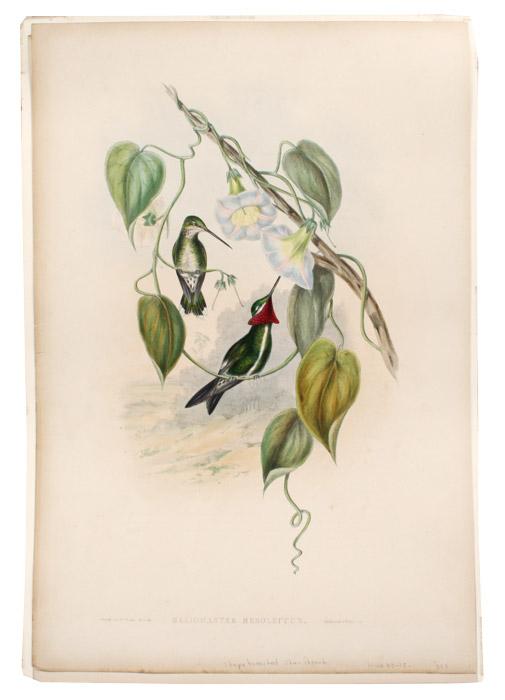 GOULD AND RICHTER HELIOMASTER