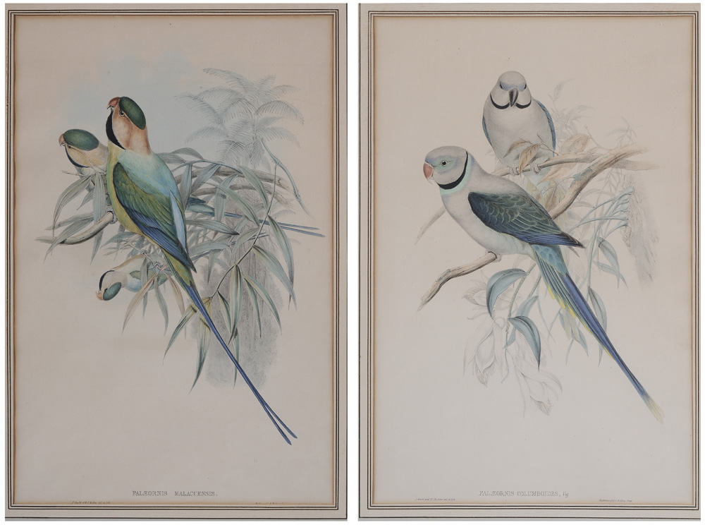 Gould and Richter (John Gould and