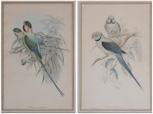 Gould and Richter (John Gould