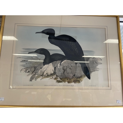 Gould & H C Ritcher, hand
