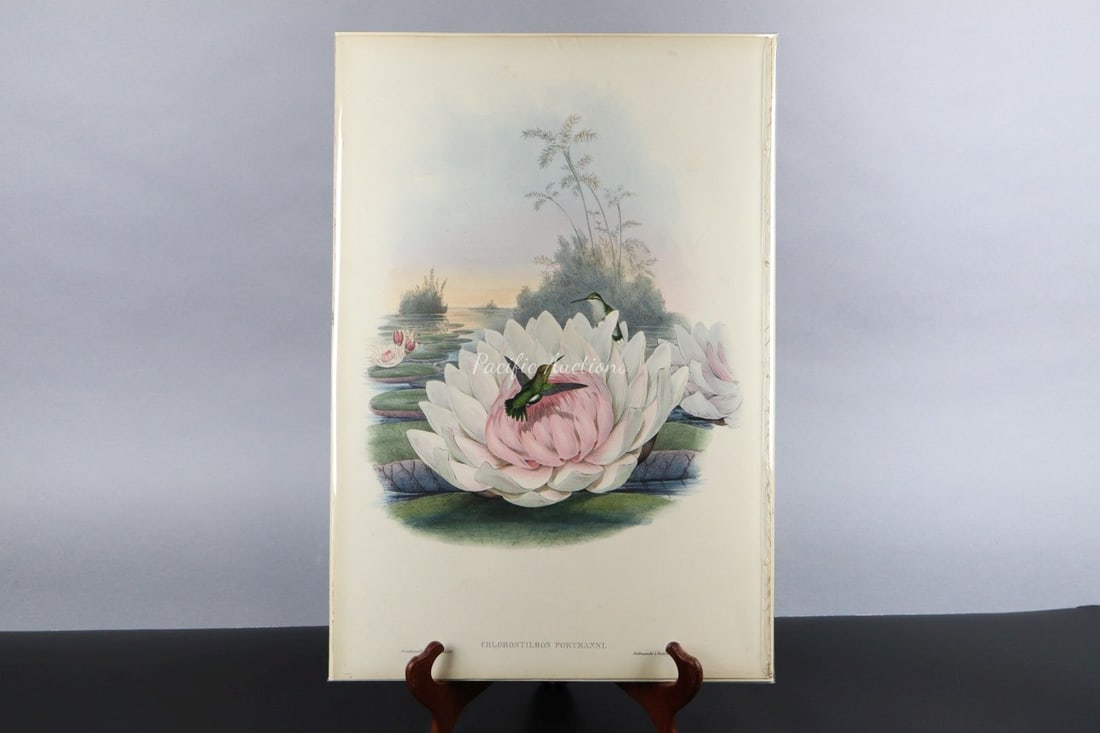 GOULD HUMMINGBIRDS HAND-COLORED
