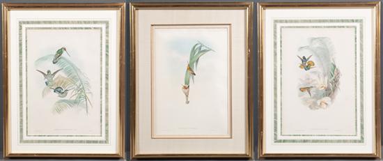 Gould & Richter (British 19th